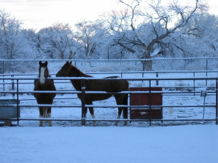 Winter Snow in Albuquerque