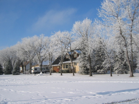 Winnipeg in the winter