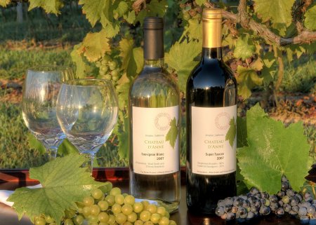 New Chateau d'Anne wines for 2008 Release