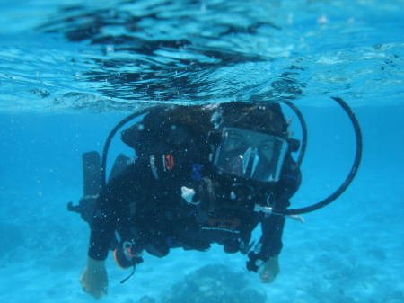 Diving in Bonaire