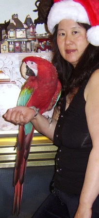 My macaw and me