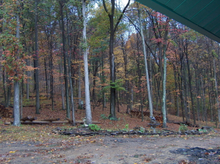 View from my back porch, Autumn