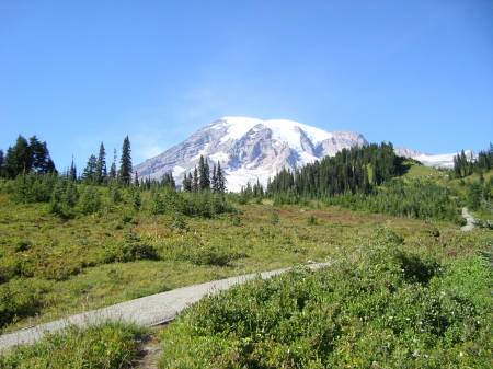 Mt Rainer