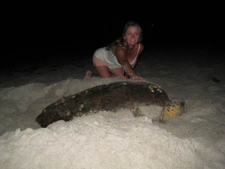 me and a sea turtle in indialantic 7-08