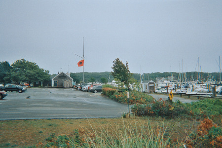 Hurricane Flag, September 2008, Cape Cod