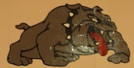 Chateaugay Central High School Logo Photo Album