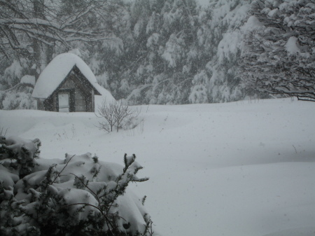 Blizzard of Feb 2010 in Havre de Grace, MD