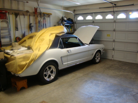 My 1965 Mustang