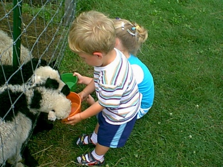 grand kids at petting zoo