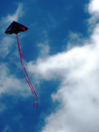 015 Daniel's kite soaring up