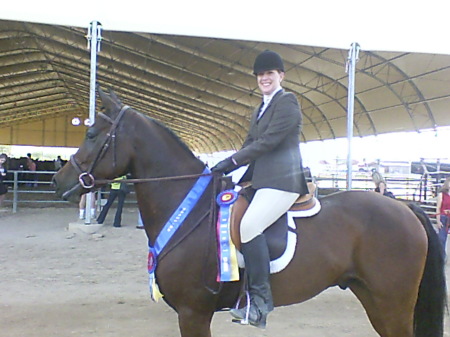 saddlebred futurity