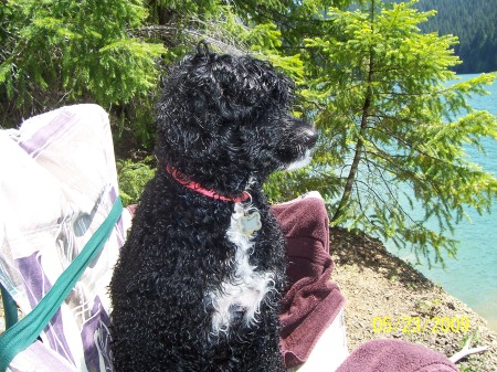 dory loves going to the lake.