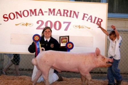2007 Sonoma Marin Fair