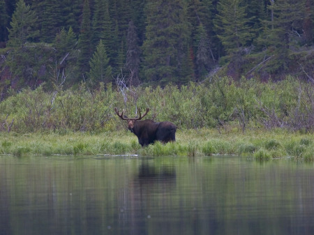 glaciernp_0034