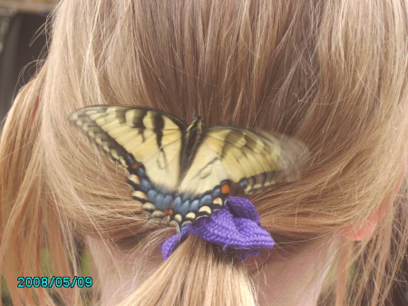 Butterfly on Danielle