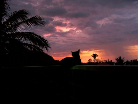 Rain at sunset