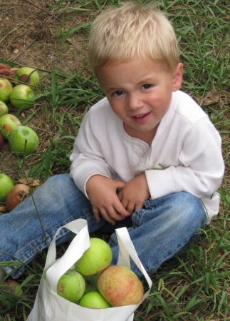 Aidan at the Apple Orchard