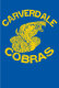 Carverdale High School Reunion reunion event on Sep 18, 2010 image