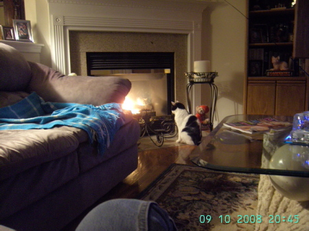 Sammy enjoying the fire
