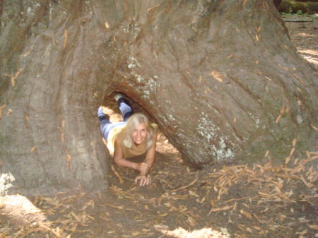 me at redwood forest