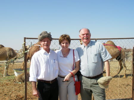 At the camel auction outside Dubai