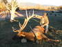Nevada Muzzleloader Elk score 375