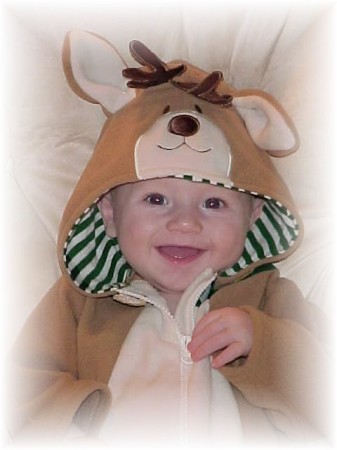 Owen reindeer