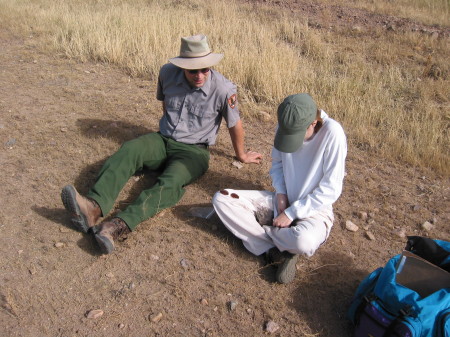 in the field 2004