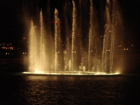 the water show