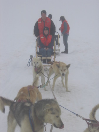 Dog sledding in Alaska