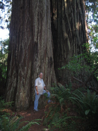 Redwood National Park, CA