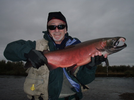 Flyfishing in Alaska For Silver Salmon