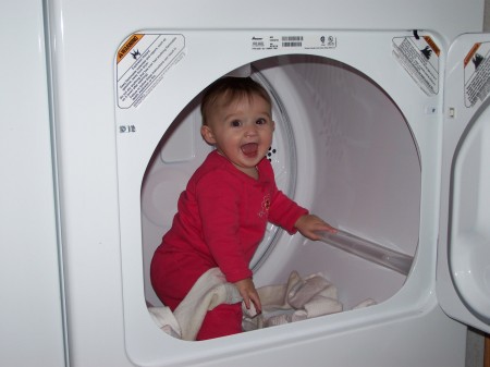 presley in the dryer 004