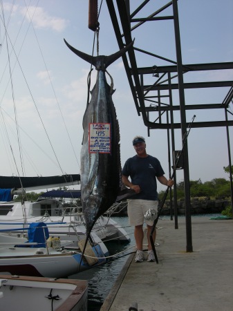 425 lbs. Pacific Blue Marlin