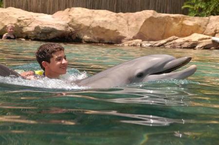 robert rides dolphin