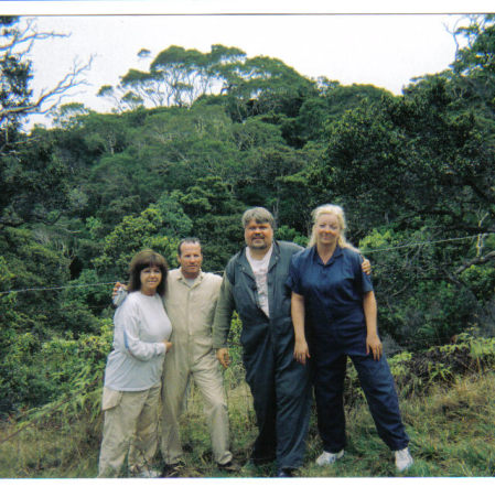 rain forrest in maui !