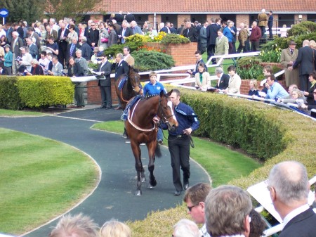 Newmarket Race Course