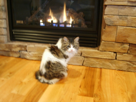 Sinclair warming up in front of the fire place