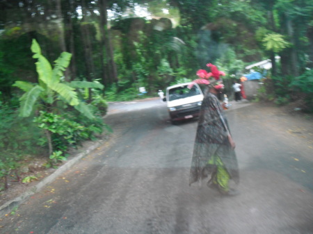 Beverly McCarter's album, jamaica