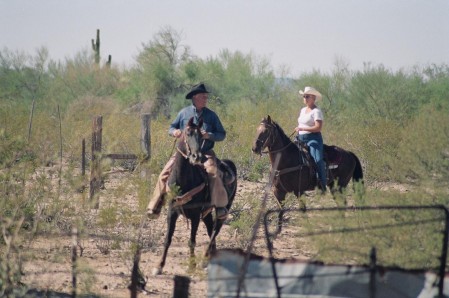 SLR ORION'S WAY WORKING COWS