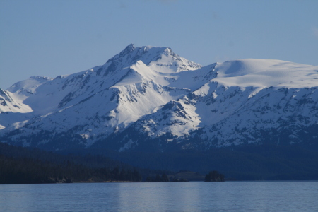 Homer Alaska the first weekend in June