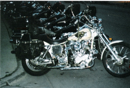 MY PANHEAD