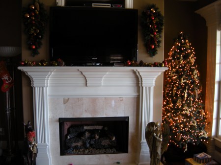 Christmas tree-family room 2009