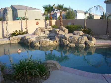 Our back yard pool