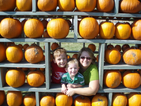 pumpkin patch 048