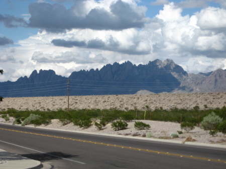 The Organ Mountains