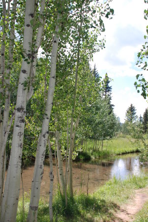 Stream that feeds Aspen Mirror Lake