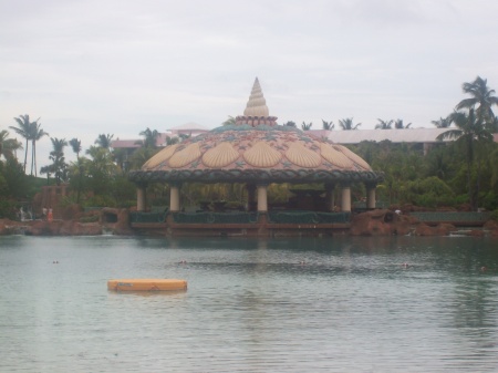 LAGOON W/AQUARIUM UNDER IT