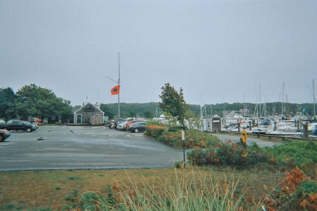 Hurricane Flag, September '08; Cape Cod, MA