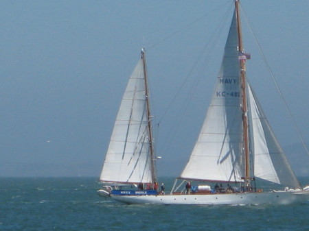 Sail Boat Festival